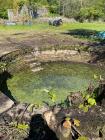 Walled garden, Penllyn Castle near Cowbridge 2020