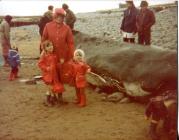 Trip to see Humpback Whale washed ashore at...