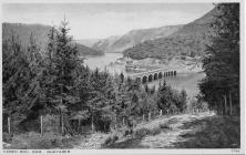 Garreg Ddu (Cerdyn Post)