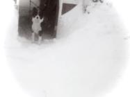 Snow in Llangain, 1982