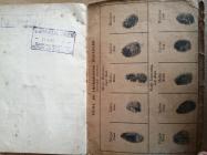 Argentine immigration book. Benjamin Johnson