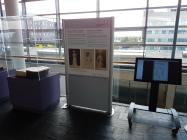Women war and peace exhibition in the senedd 