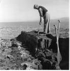 Cutting Peat, Hirnant Farm, Elan Valley