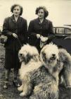 Photograph: Dog Competition at Anglesey...