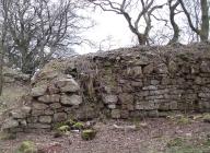 Castell Morgraig Caerphilly