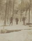 In the woods on Mostyn Estates felling trees, 1908