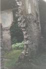 Remains of Fron Hall 1998, Picture 2