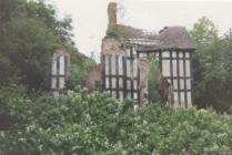 Remains of Fron Hall 1998, Picture 6