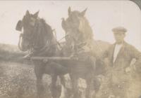 Robert Hughes and his horse team, 1930