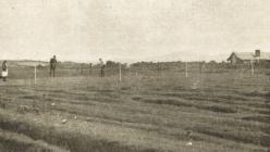 Holywell Golf course.