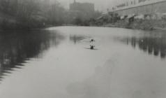 Swans landing on lake, Battery Row houses with...