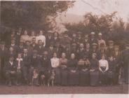 Sheep Shearing at Caebwd Tregaron