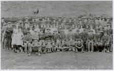 Sheep shearing at Troedrhiwcymer 1912