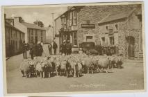 Postcard showing Market Day at Tregaron