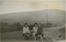 Photo of haymaking at Glynsaithmaen Mynachlogddu