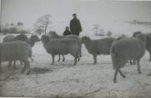 Glynsaithmaen, Mynachlogddu in the snow 1965