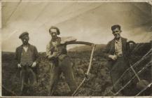 Haymaking at Plas Dwbl Mynachlogddu