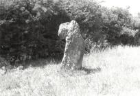 The Thief Stone of Llandyfrydog