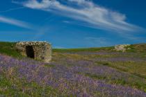 Lime Kiln, Skomer Island c.2010