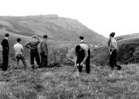 Descending to South Haven, Skomer Island, 1954/5