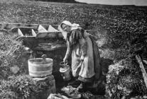 Collecting water from the well, Skomer Island,...