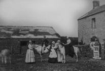 The farmhouse courtyard, Skomer Island, c.1880s