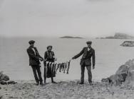 Fish being displayed at North Haven, Skomer...