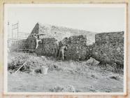 Construction at the Old Farm, Skomer Island