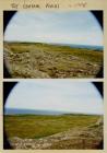 The Central Fields, Skomer Island, 1995