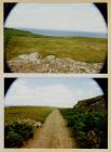 The Central Fields, Skomer Island, 1995