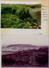 A dry summer on Skomer Island, c.1995