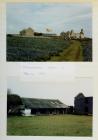 Views of Old Farm, Skomer Island, Spring 1987