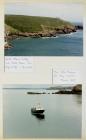 South Haven and Dale Princess, Skomer Island,...