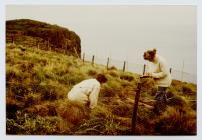 Vegetation mapping at Skomer Head, Skomer...