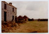 The Old Farm, Skomer Island, Augustust 1989