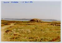 Views of the centre of Skomer Island, July 1990