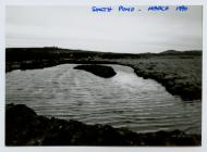 South Pond, Skomer Island March 1990