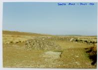 South Pond, Skomer Island, July 1991