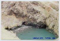 Seals around Skomer Island, 28 December 1991