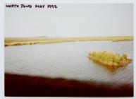 North Pond, Skomer Island May 1992