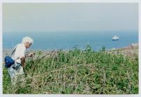 Joe Hardman, Skomer Island, June 1990