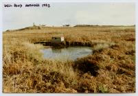 Well and Well Field, Skomer Island, 1992