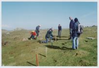 Construction of rabbit exclosure, Skomer Island...