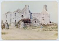 The old farm and buildings at Skomer Island c...