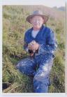 Research work on puffins, Skomer Island, June 2003