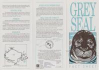 Grey Seal Fact Sheet