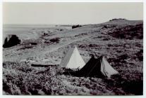 Camping on Skomer Island c.1940s