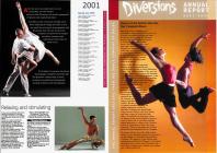 Diversions Annual Report and leaflet for Spring...