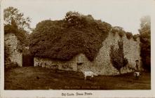 Old Castle, Dinas Powis