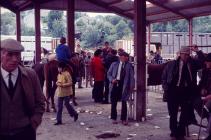 Mart Day, Evans Bros, Llanybydder 1977